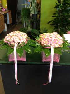 centra d´hortensia